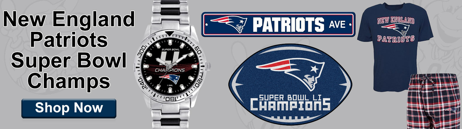 New England Patriots Super Bowl LI Champs
